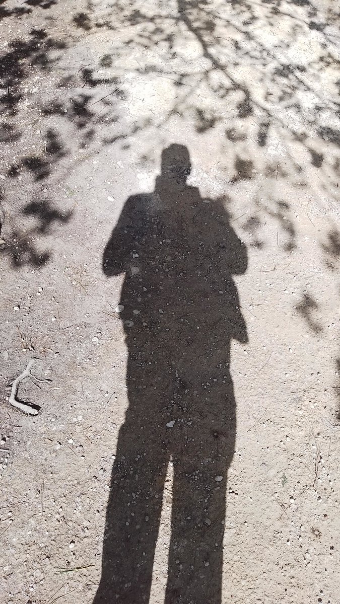 Phil's Plot tweet media