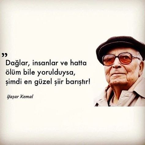 Rain Man⚖️ tweet media