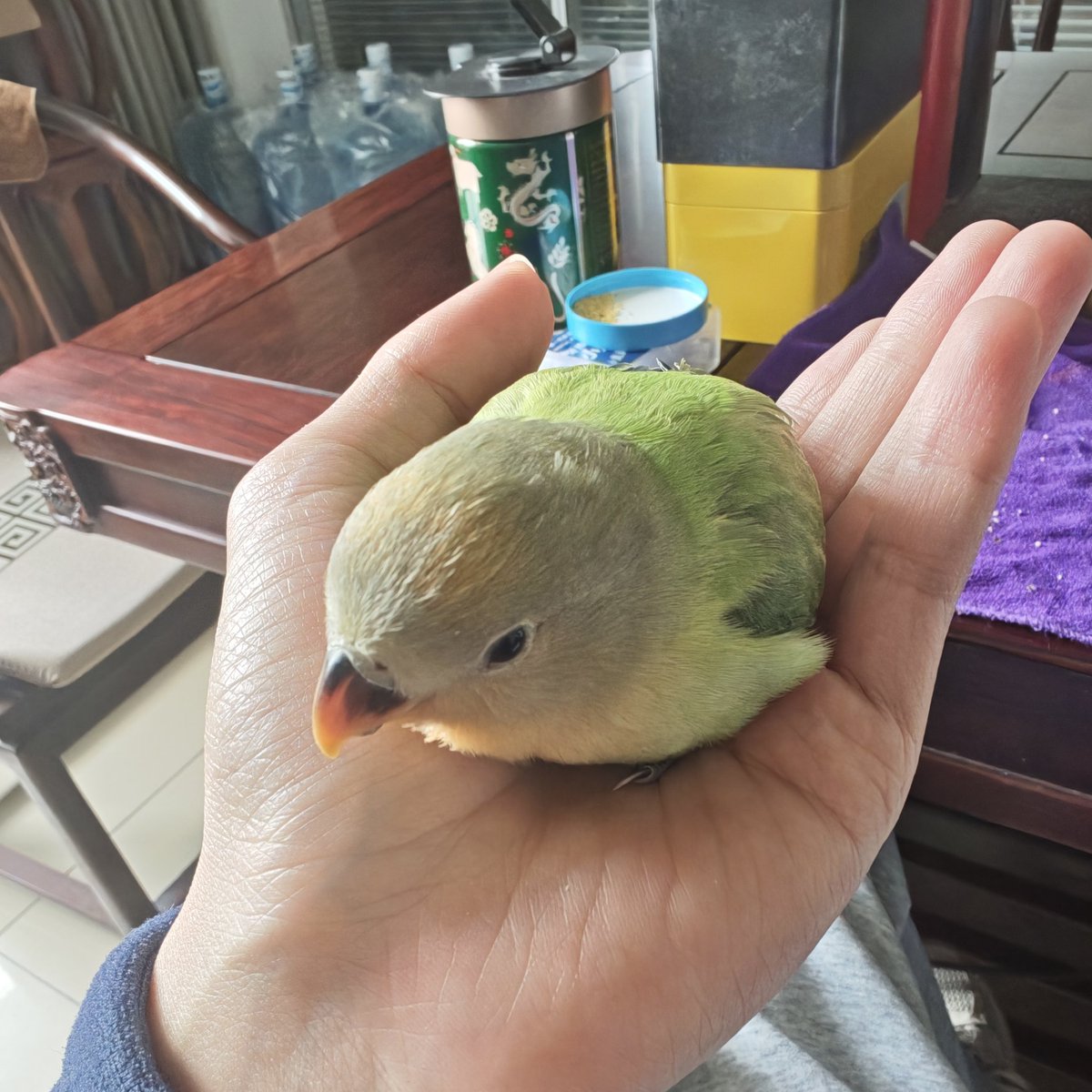 不必在意 tweet media