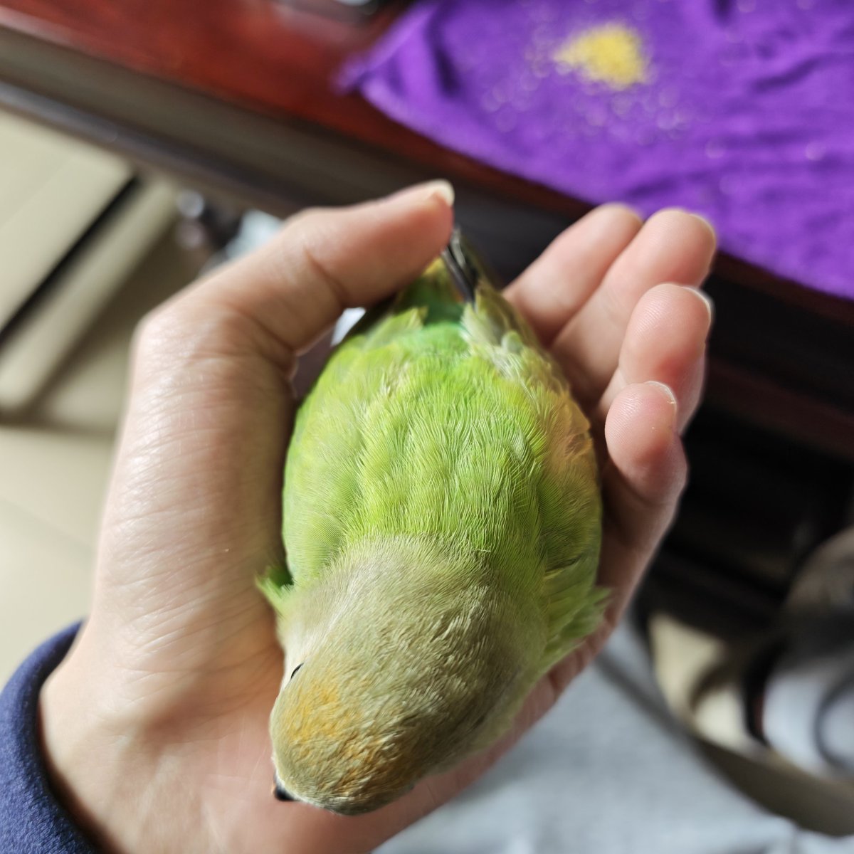 不必在意 tweet media