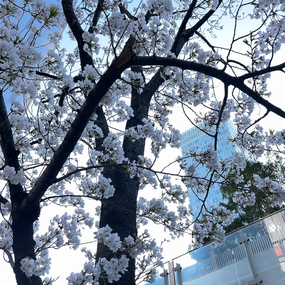 ひくちこ tweet media