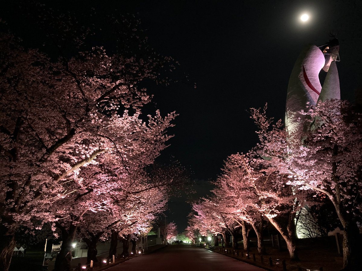 万博記念公園【公式】 tweet media