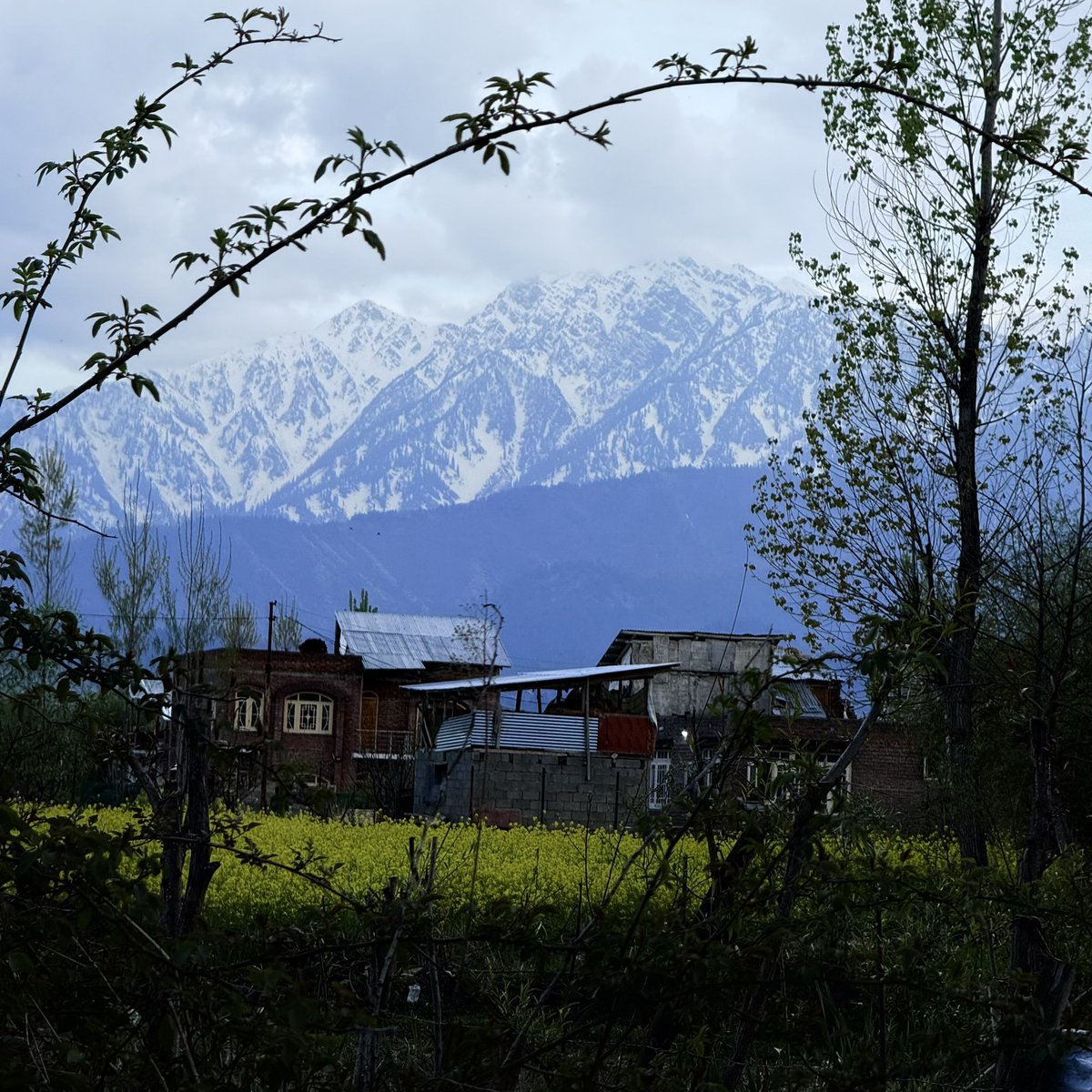 Idrees Mubarik tweet media