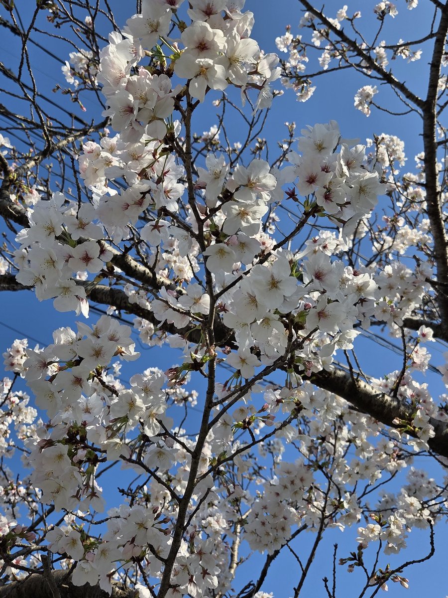 みずも tweet media