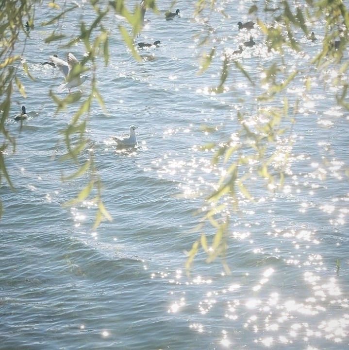 Abel of Creative Team, tweet media