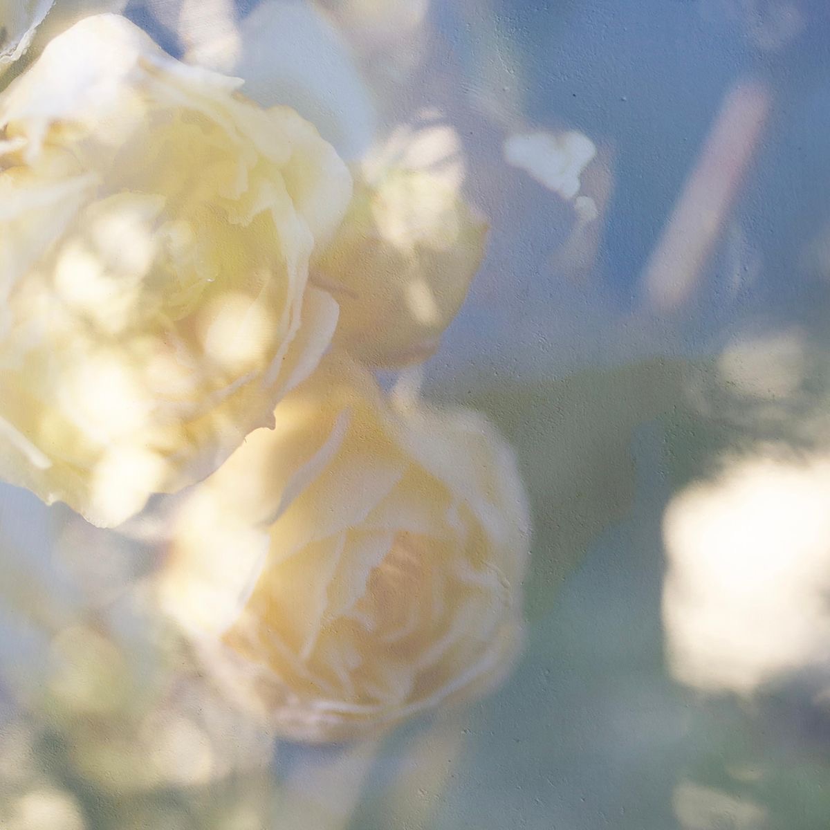 Abel of Creative Team, tweet media