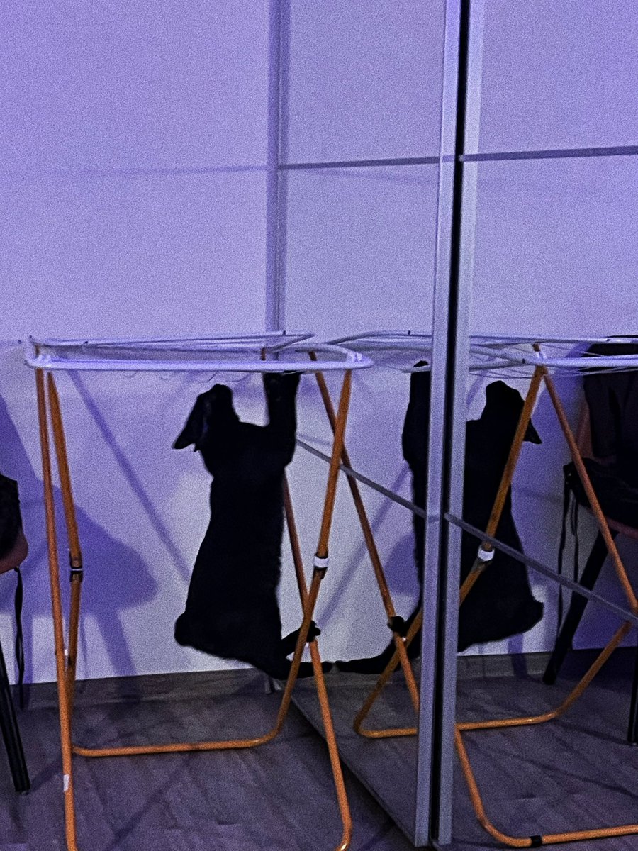 бездушная tweet media