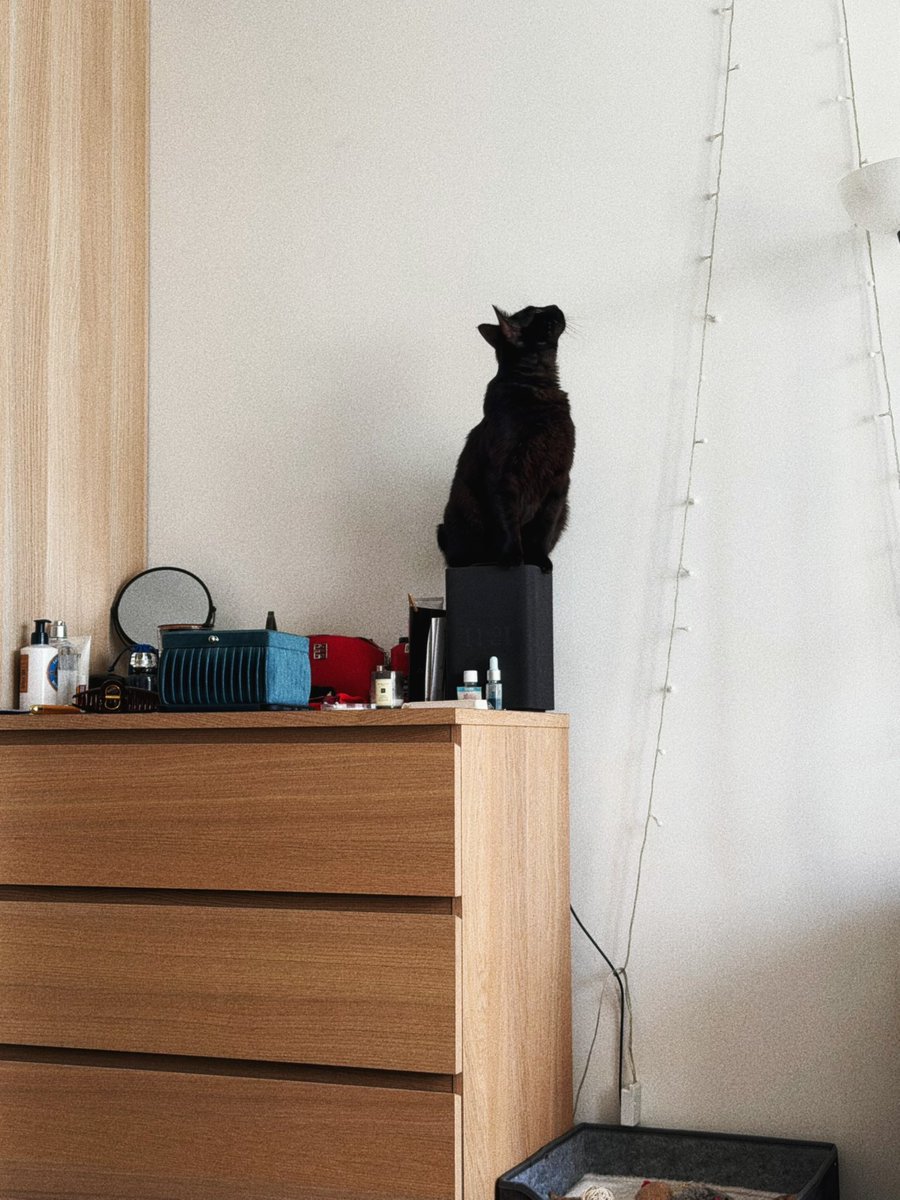 бездушная tweet media