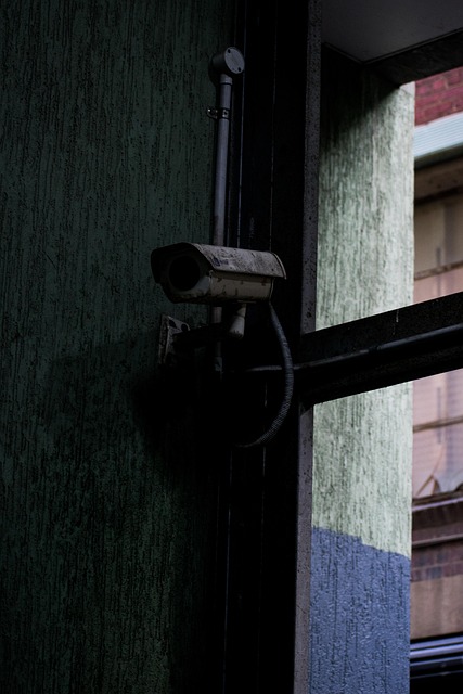 Tony Primas tweet media