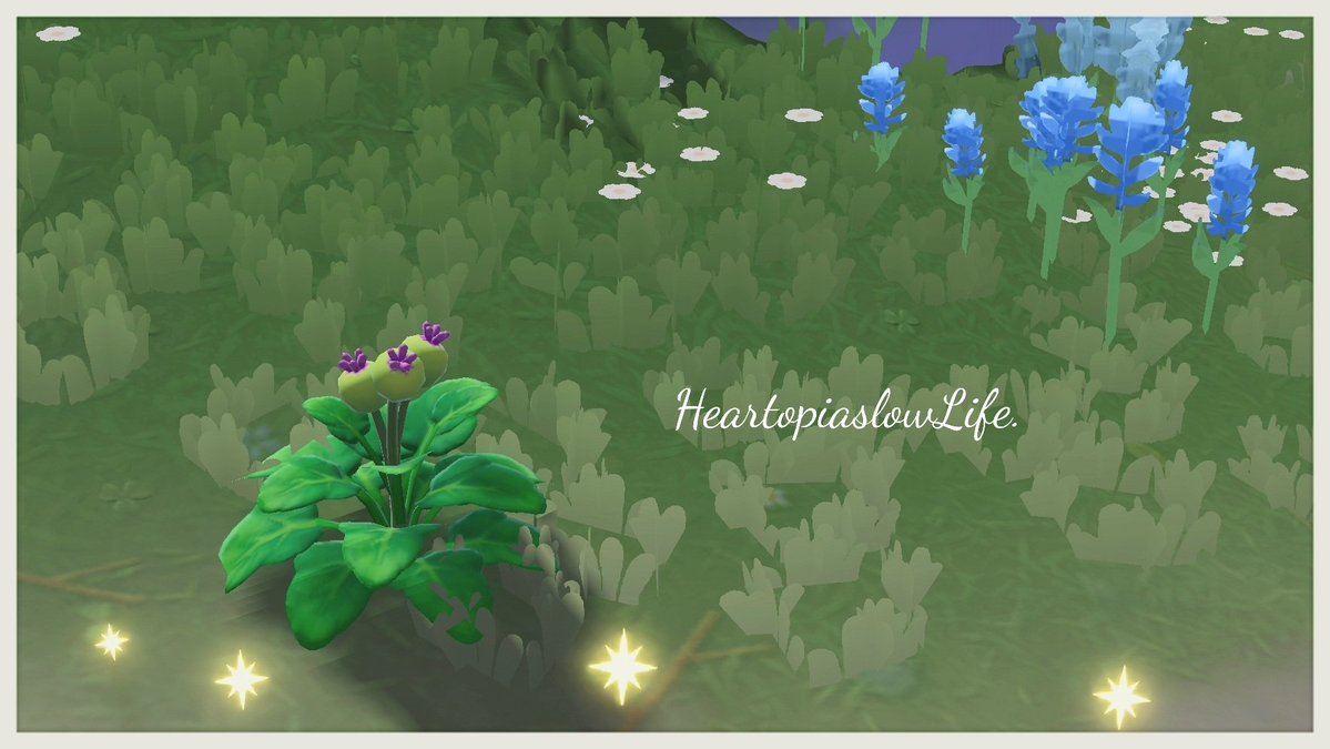 ねこさん tweet media