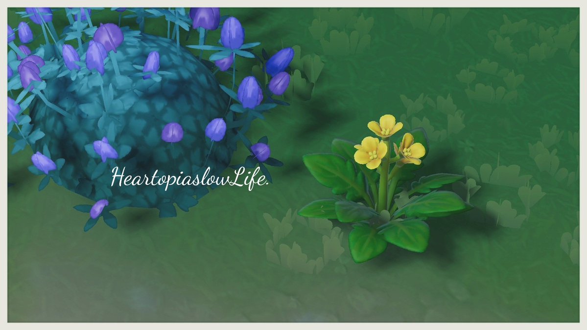 ねこさん tweet media