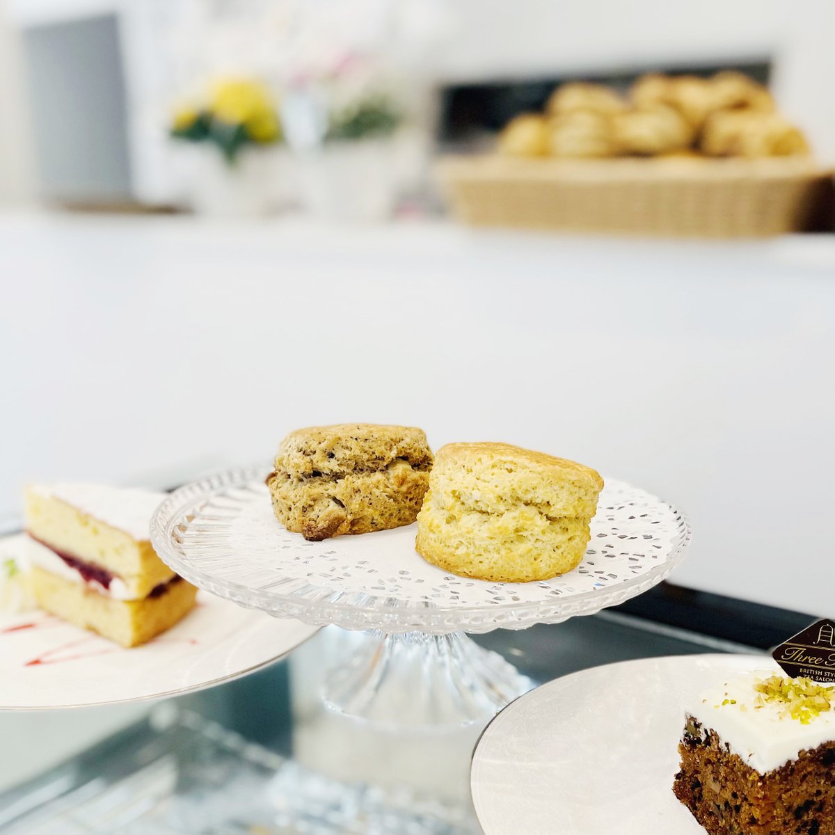 Scone Stadium tweet media