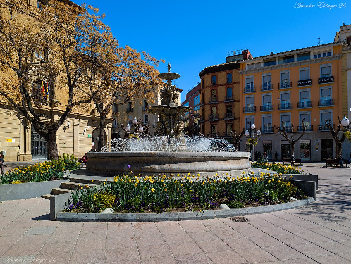 Amadeo Elduque tweet media