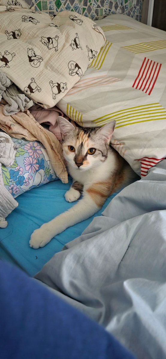 Cass ♡ tweet media