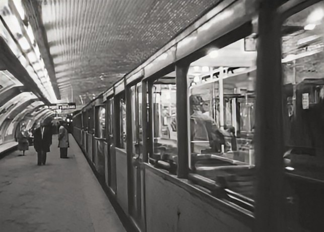 ゲラ子。 tweet media