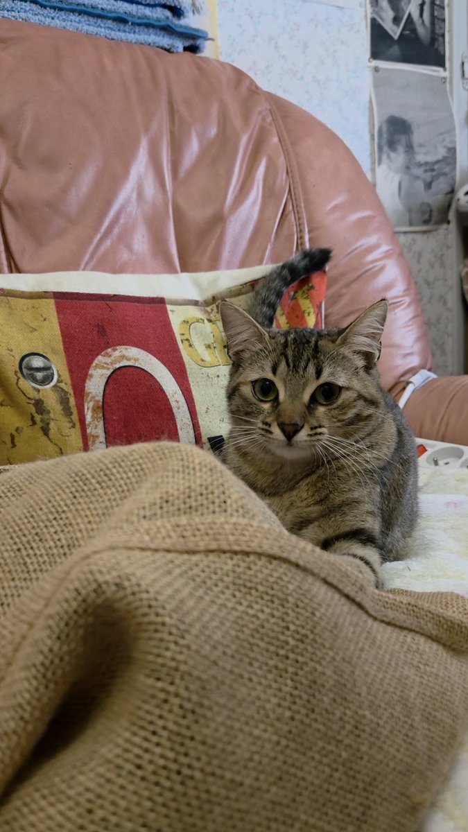 Cass ♡ tweet media