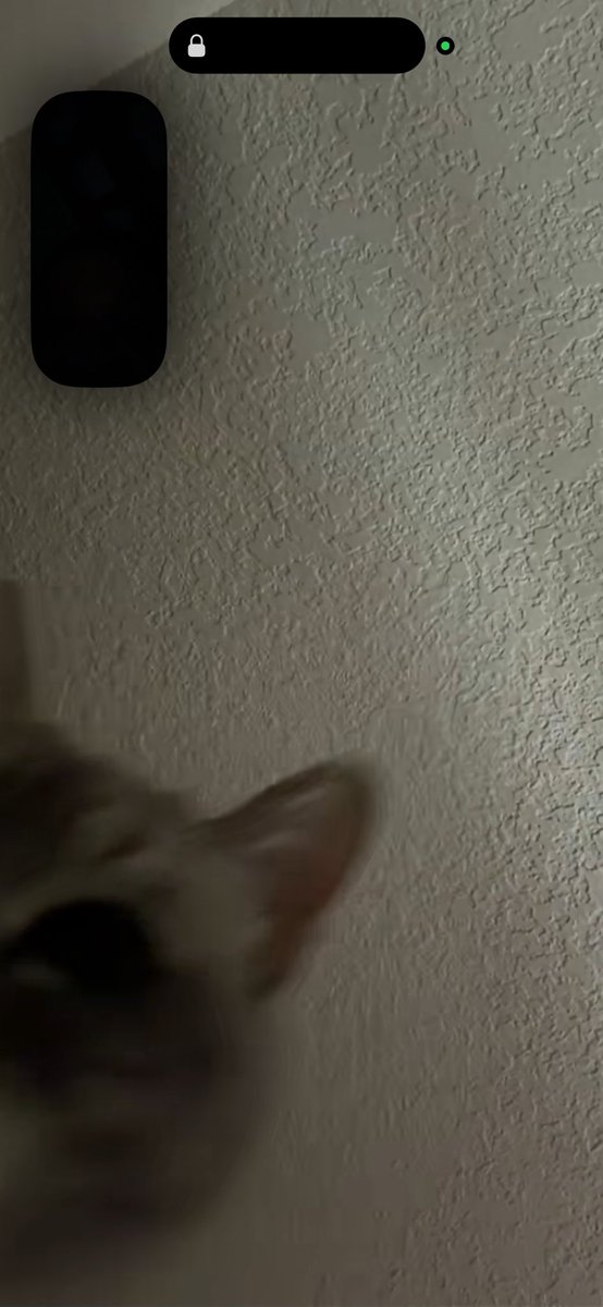 mochi ⋆✩˙ tweet media