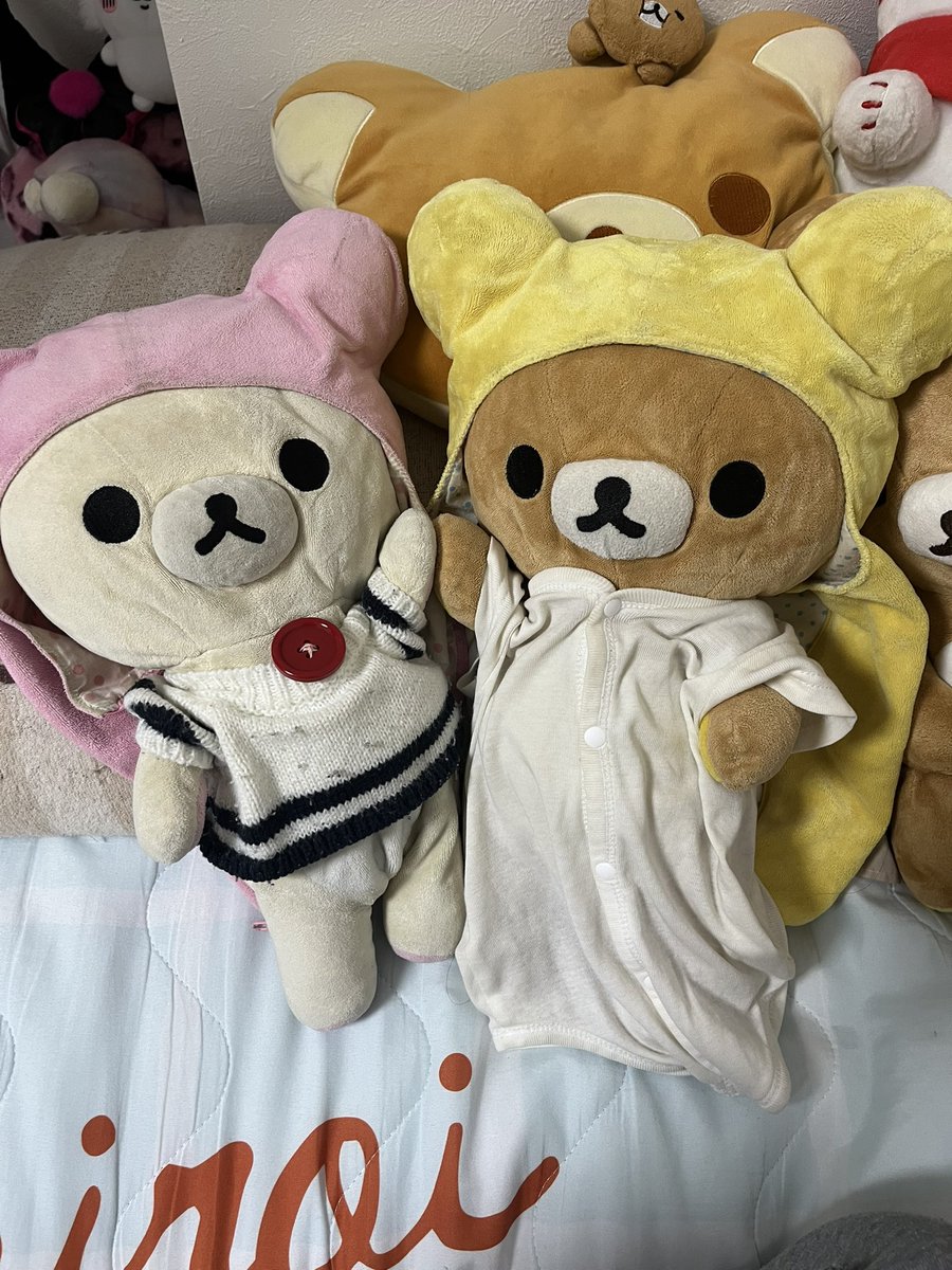 コリラとリラク tweet media