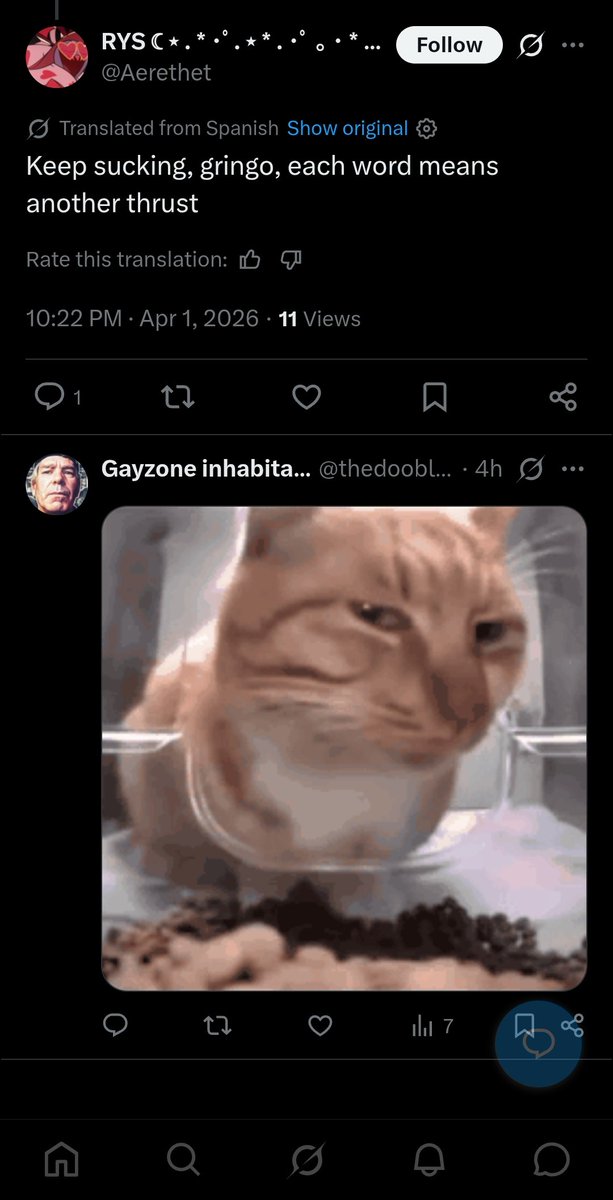 Gayzone inhabitant tweet media