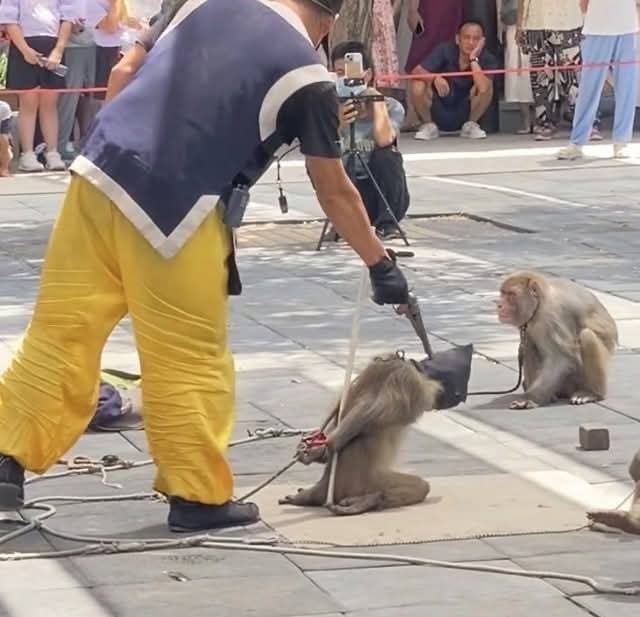 sengendo joseph3 tweet media