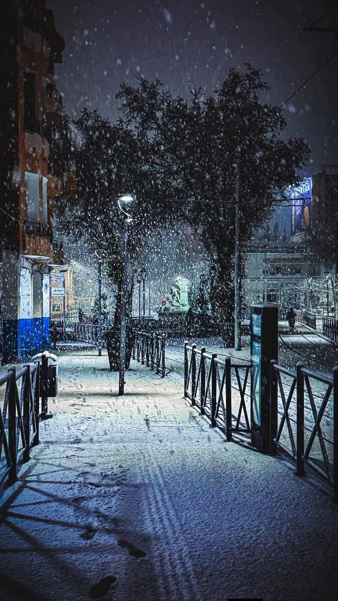 بوابة الجزائر - Algeria Gate tweet media