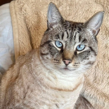 Renee' Martin tweet media