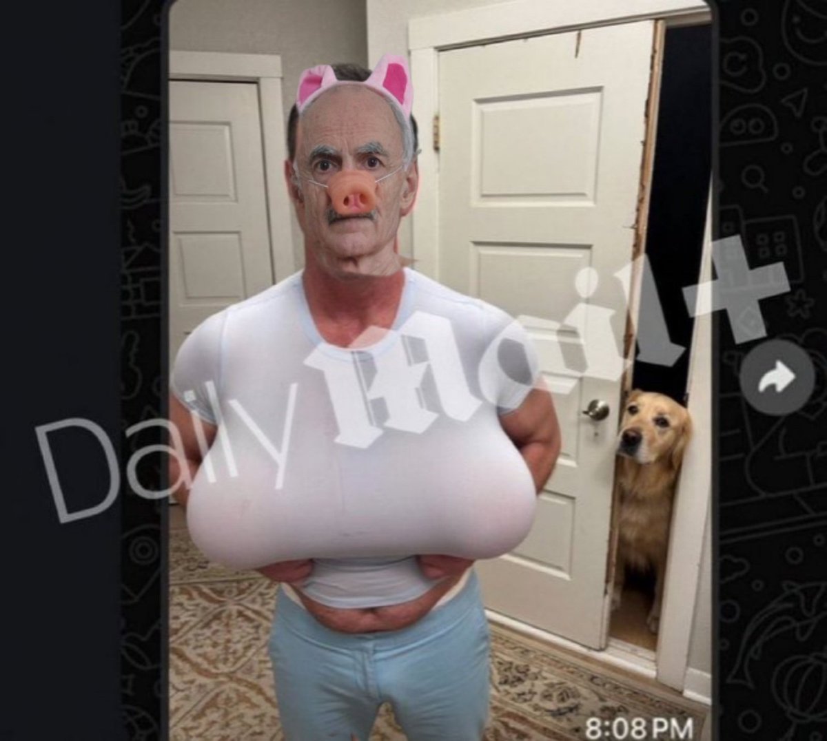 Dr Moof 🧠🪱 tweet media