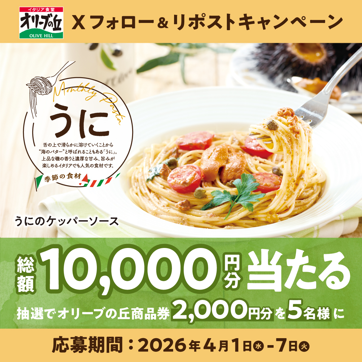 イタリア食堂 オリーブの丘【公式】 tweet media
