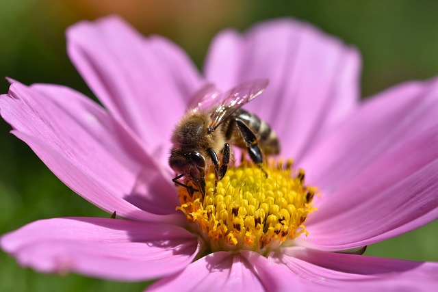 Pam Knight tweet media