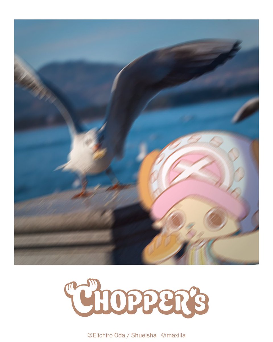 CHOPPER’s 【公式】/ official tweet media