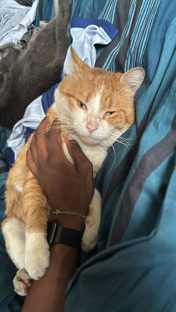 Cure Dents tweet media