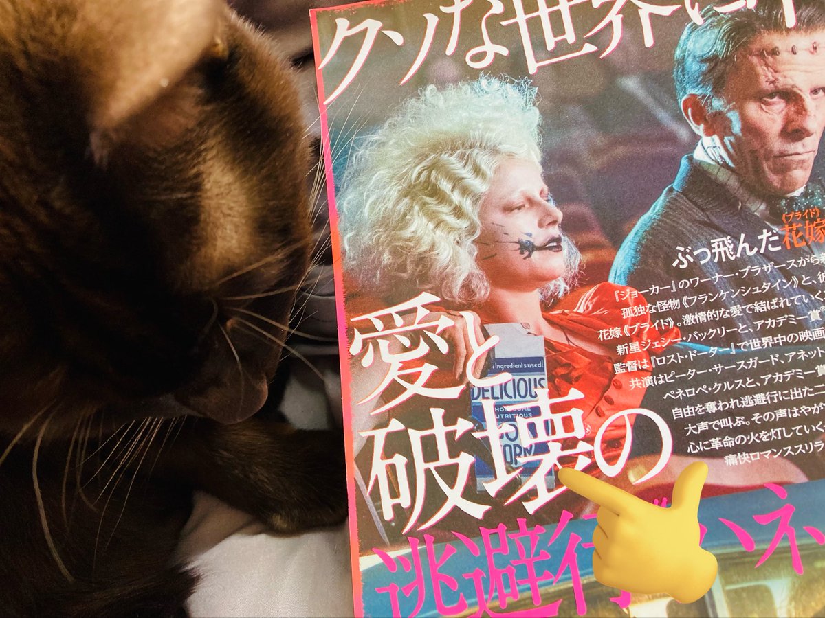 オスキャル🐈🐈‍⬛ tweet media