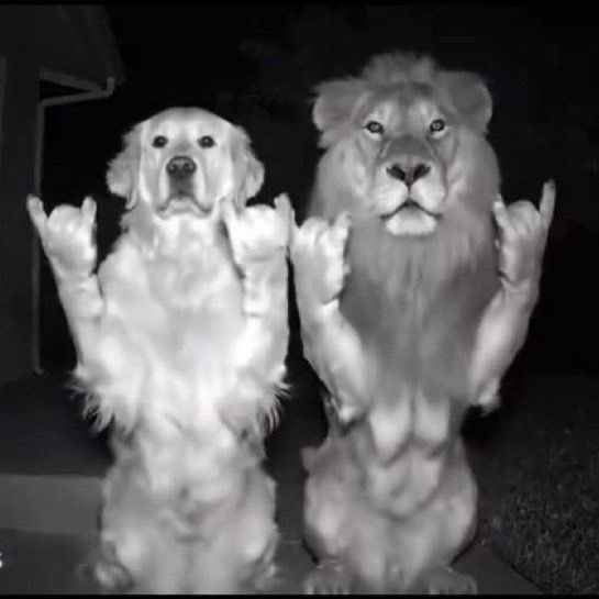 nathalya 𖤓 tweet media