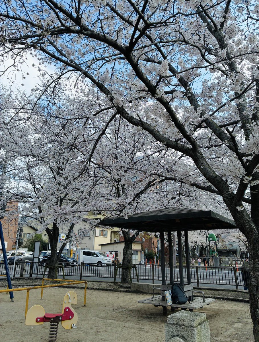 宮島未奈 tweet media