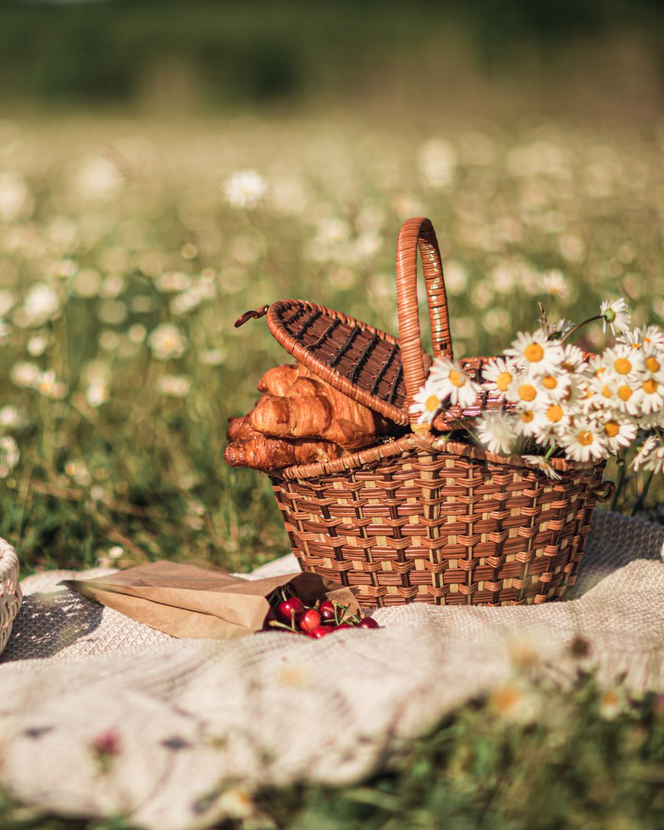 Mirada Circular CV tweet media