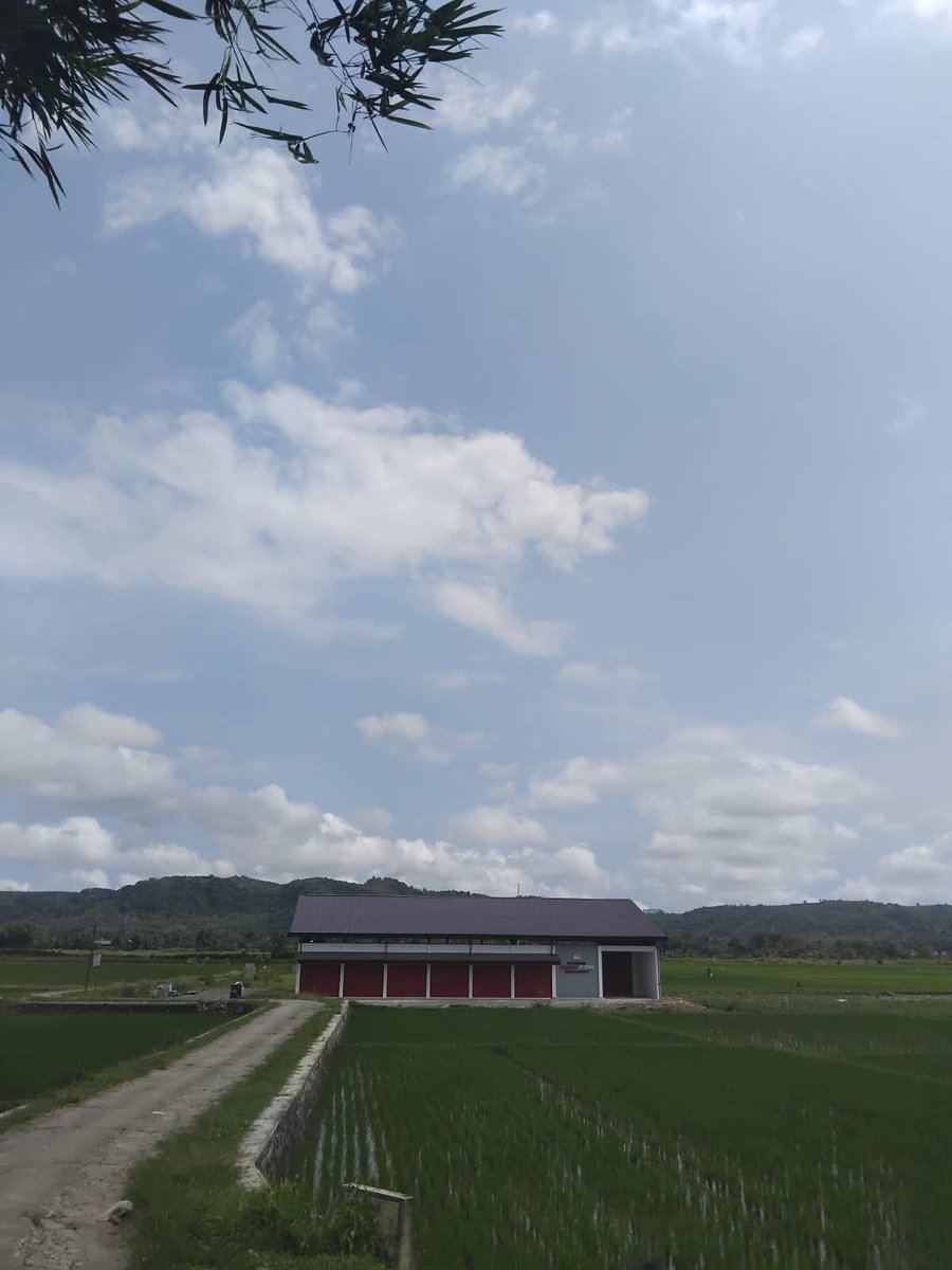 Jawafess tweet media