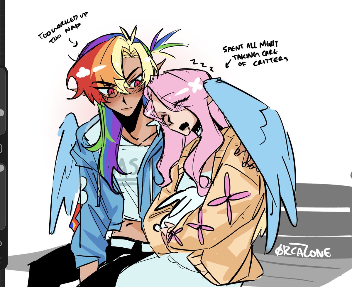 🫍orca tweet media