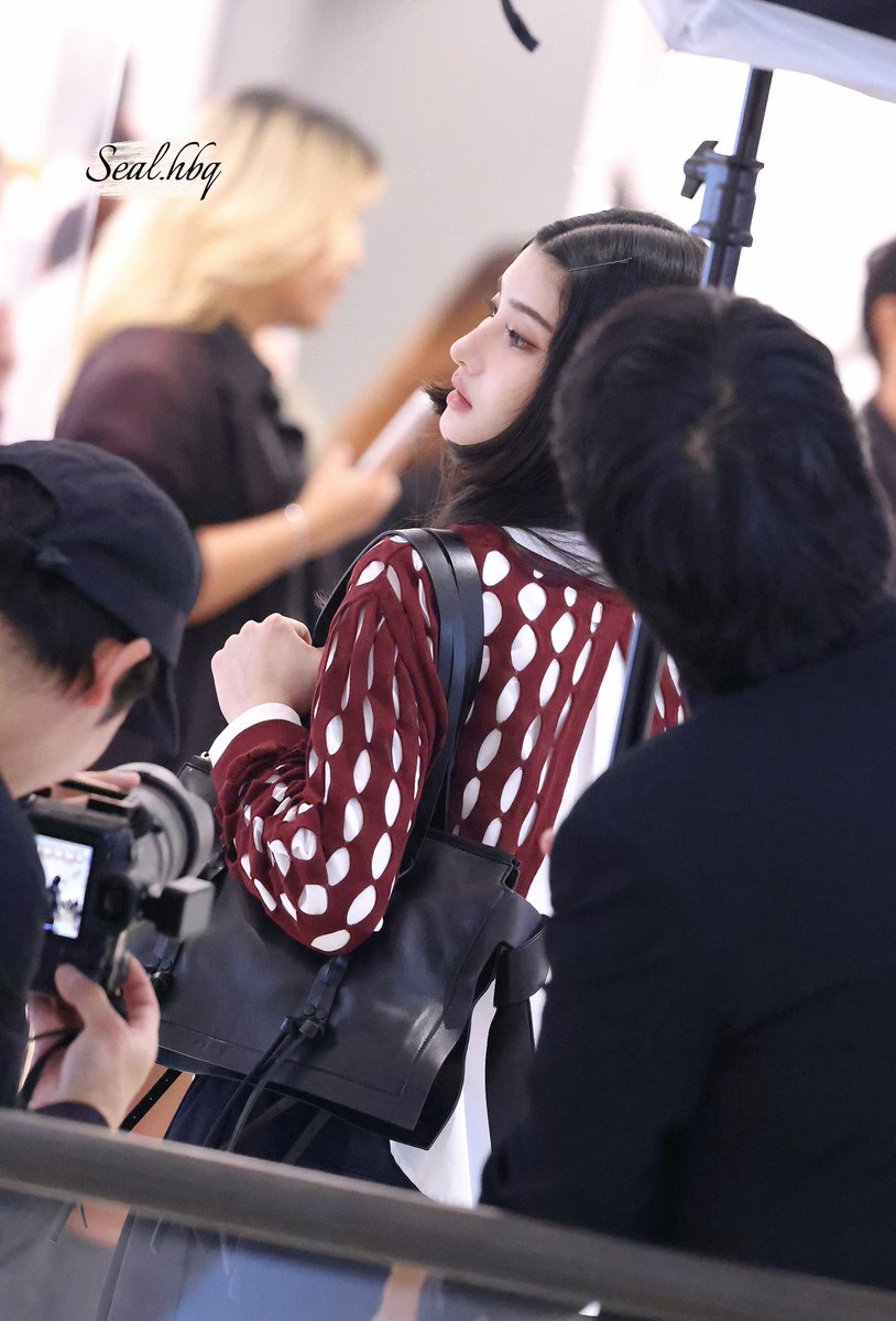 海豹球www tweet media