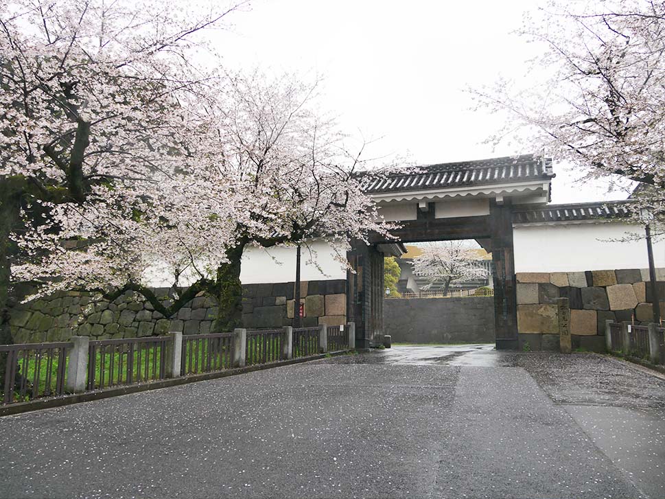 東京電機大学 tweet media