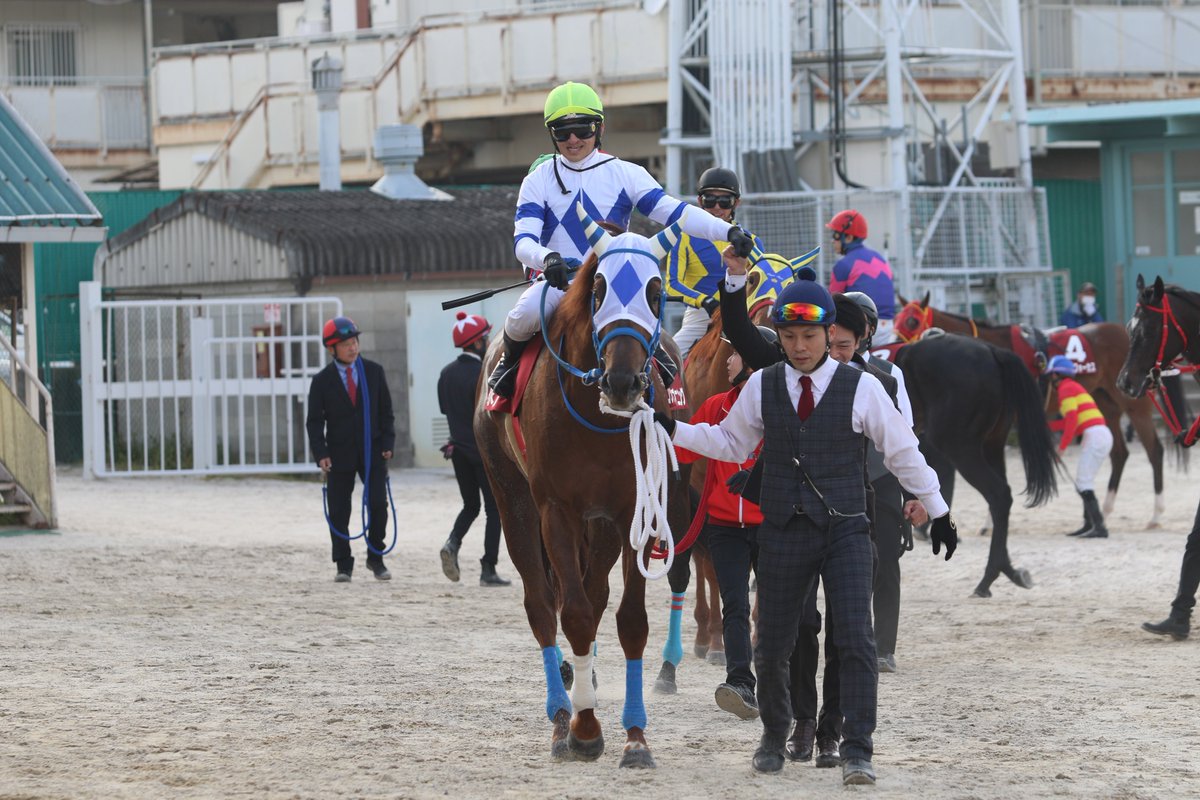 兵庫アーバン競馬（HUK）園田競馬場•姫路競馬場　公式 tweet media