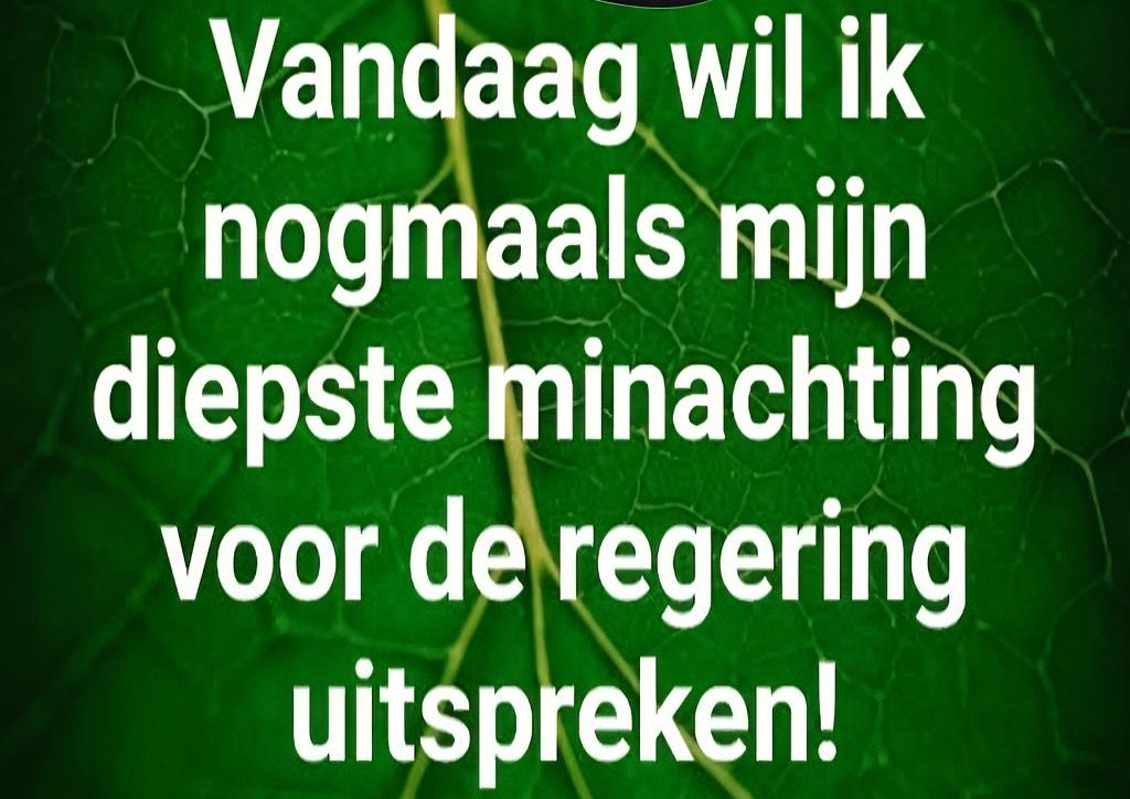 Paulet Tibx tweet media