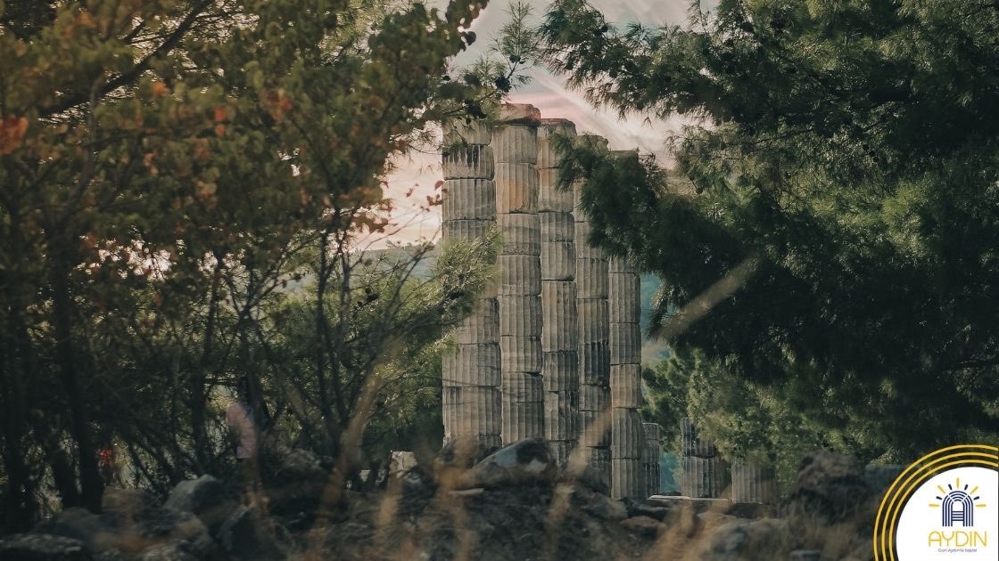 Visit Aydın tweet media