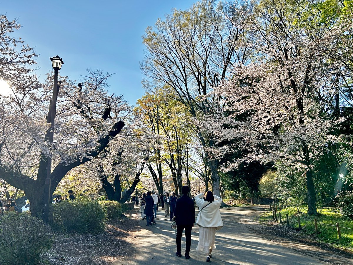 週刊きちじょうじ tweet media