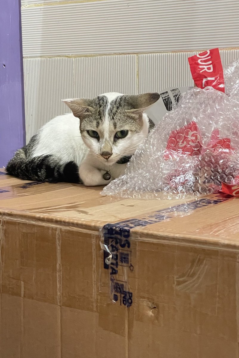 5⋆3 ೀ⋆｡˚ tweet media