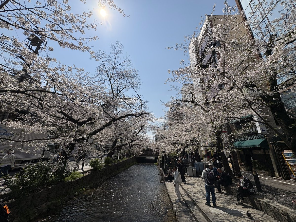 京のふるさとの看板娘 まーや@ 京都 tweet media