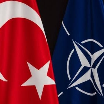 Daily Turkic tweet media