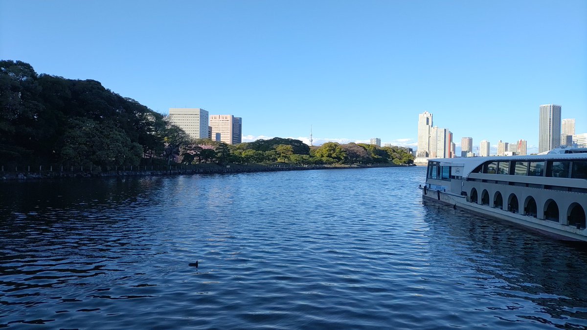 ℕ𝕒𝕔𝕙𝕠🎞🧶🛋🐾 tweet media