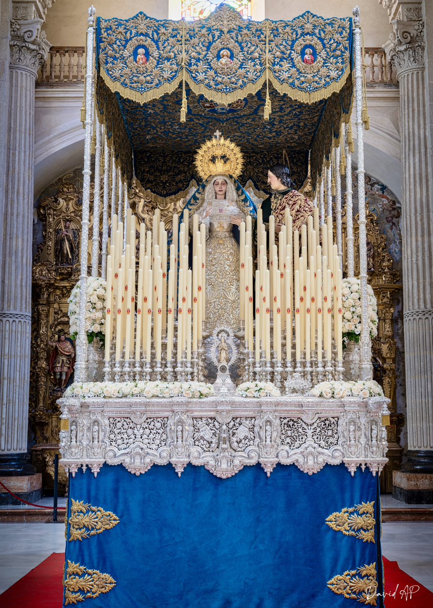 David Arias tweet media