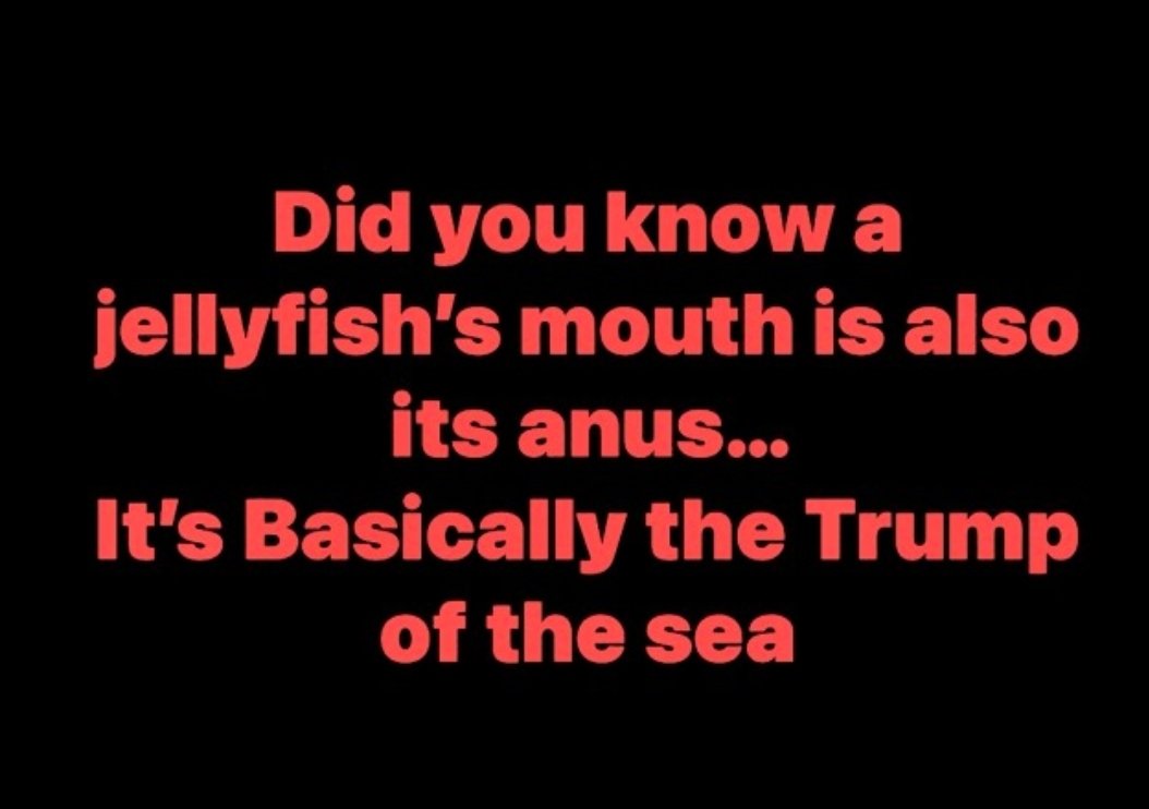 Brown Eyed Susan tweet media