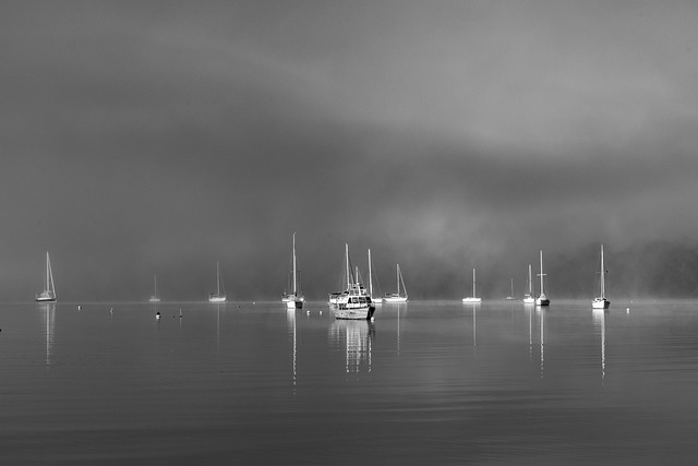 Daiyaan Aina tweet media